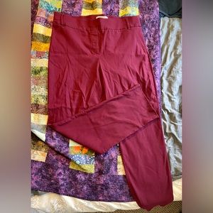 In Every Story 18 Maroon Pants